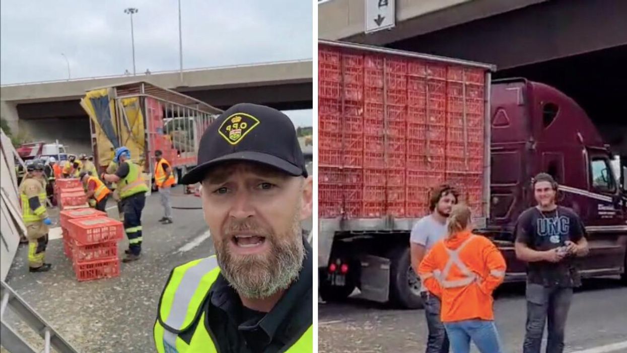 OPP reporting from the scene. Right: Crates of chickens on the truck.