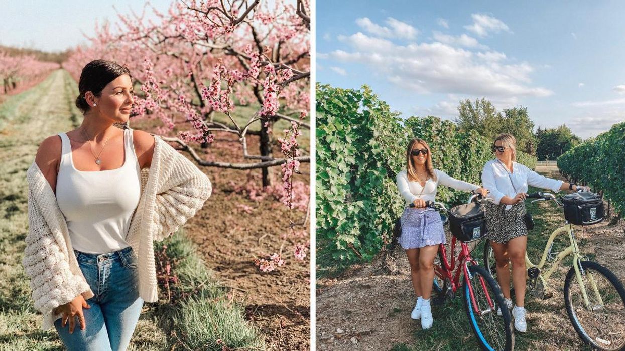 Orchard in Niagara-on-the-Lake, Ontario. Right: Grape Escape Wine Tours in Niagara-on-the-Lake, Ontario.