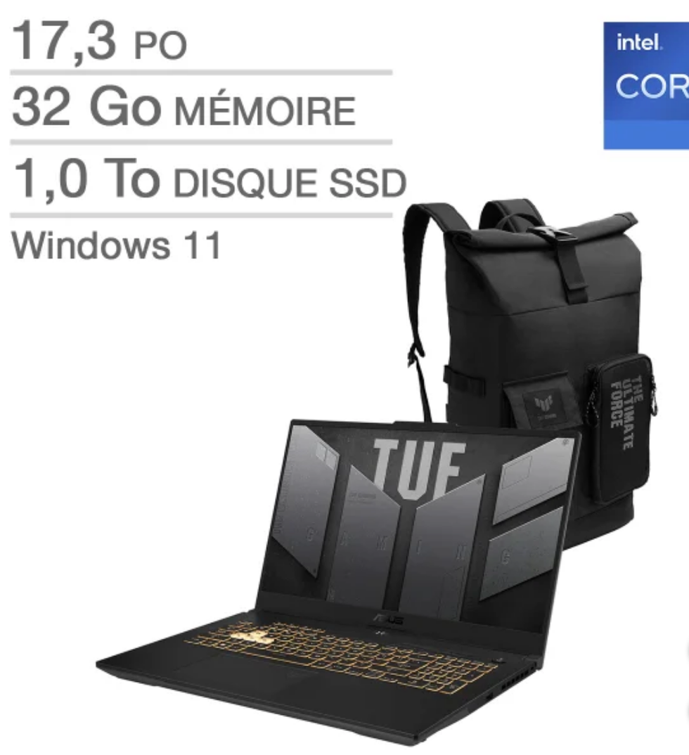 Ordinateur portable de jeux Asus de 17,3 po avec accessoires sur le site de Costco.