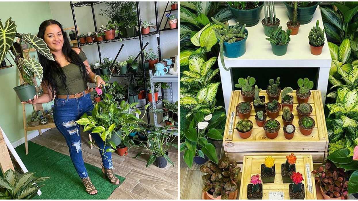 Orlando Garden Cactus Shop Succulents Empire Is The Perfect Spot To Find A New Plant Baby