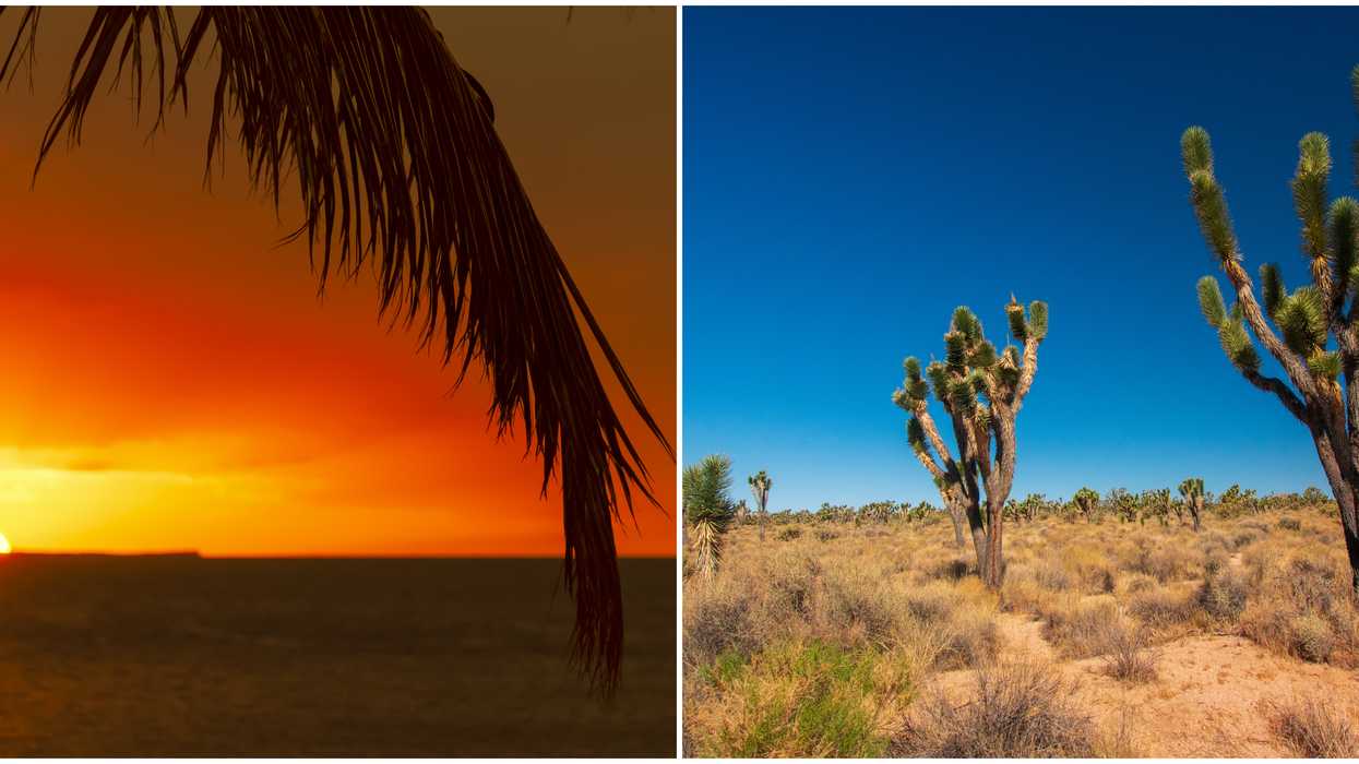 Orlando Weather Forecasts Central Florida Heat Index Will Feel Hotter Than Mojave Desert