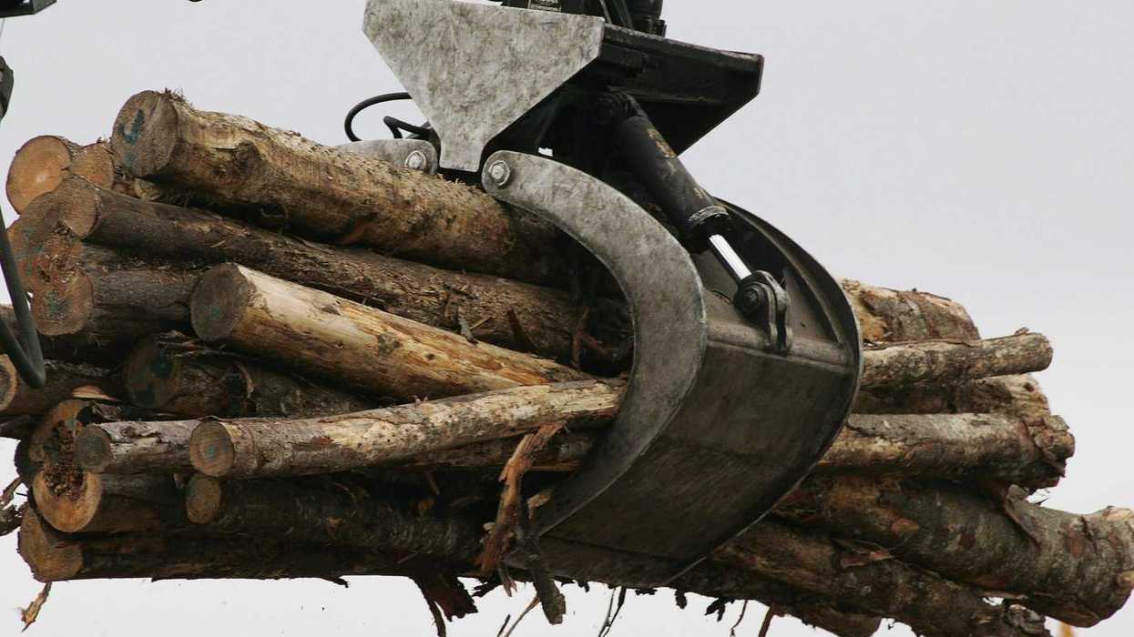 Ottawa lends pulp company $100M in tariff relief