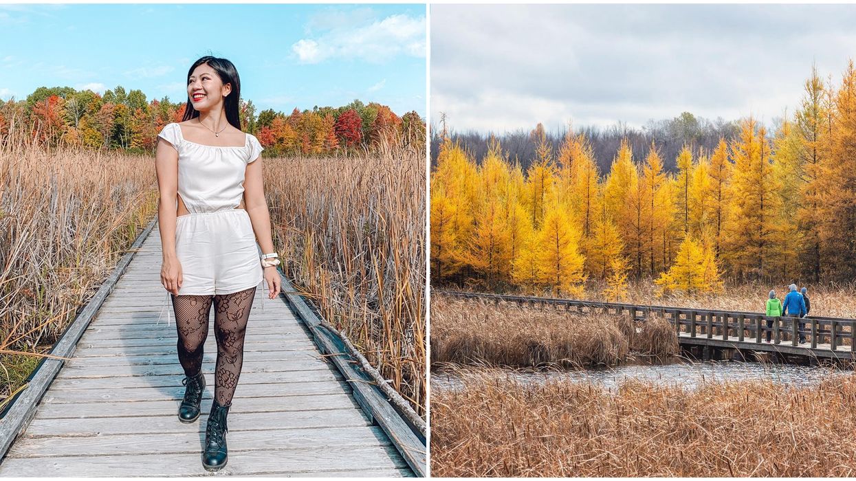 Ottawa's Boardwalk Trail Will Take You Over Water To The Best Fall Colours