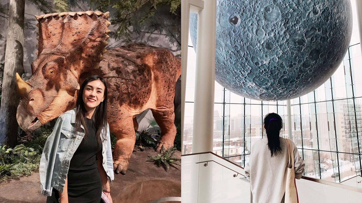 Ottawa's Canadian Museum Of Nature You Can Visit For Free After Dark