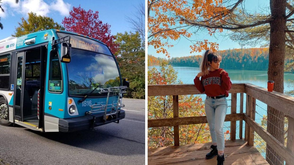 Ottawa's Free Shuttle Bus Will Bring You To Gatineau Park Just In Time For Fall Rhapsody