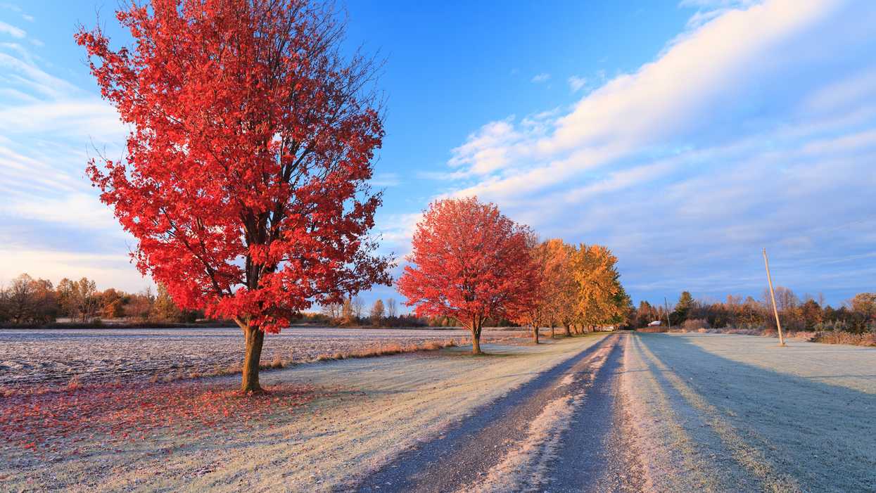 Ottawa's Frost Advisory Means It Could Be The Coldest September 14 In Almost 60 Years