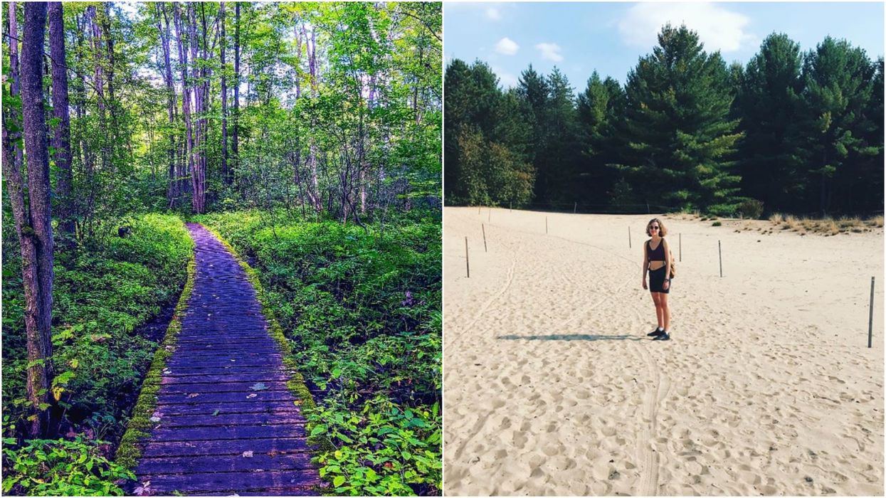 Ottawa's Golden Sand Dunes Are Hidden Inside A Secret Forest Trail (PHOTOS)