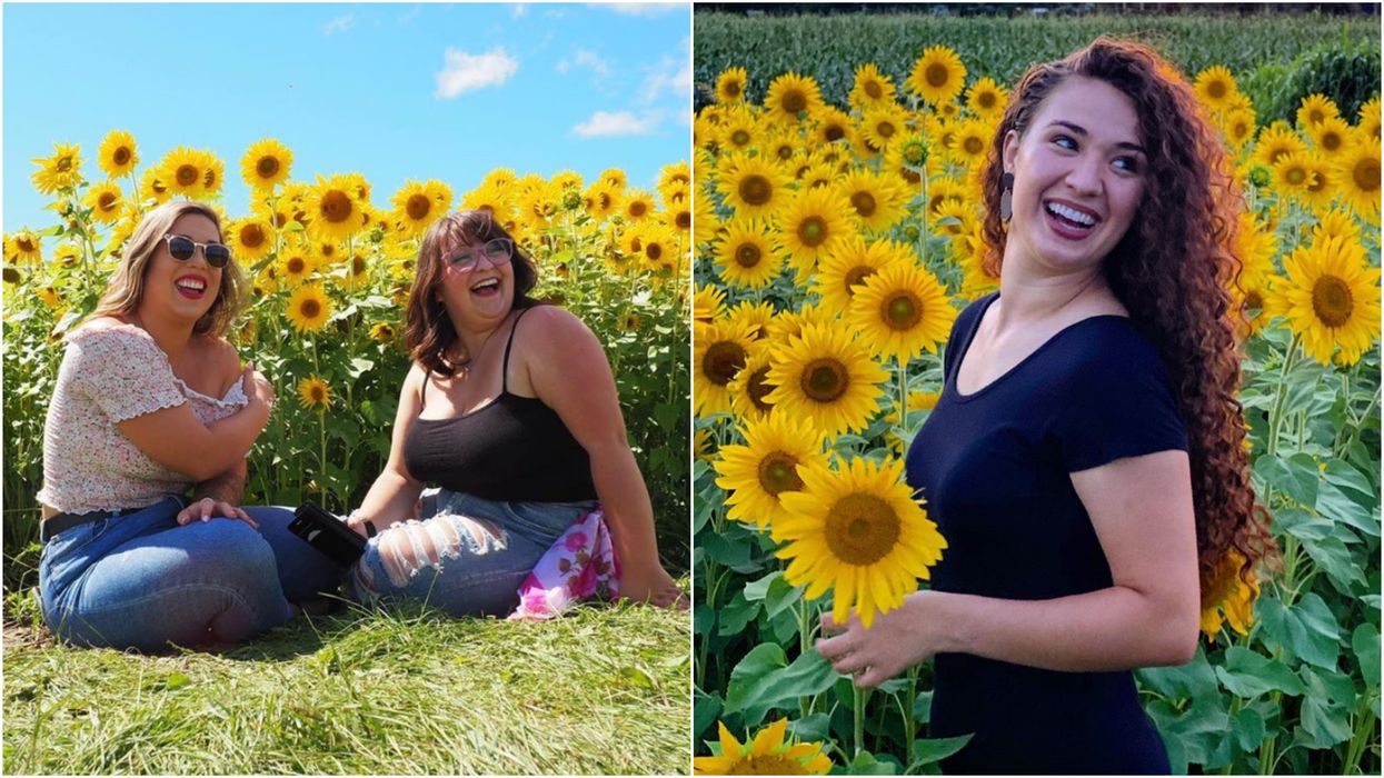 Ottawa's Sunflower Field Is In Full Bloom Right Now & It Looks Extra Dreamy