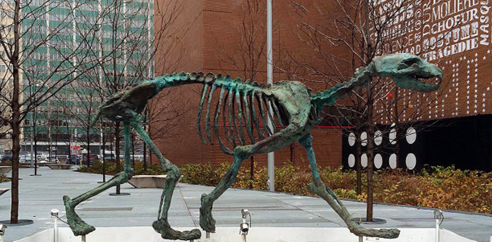 Ours blanc sur glaces \u00e9ph\u00e9m\u00e8res.