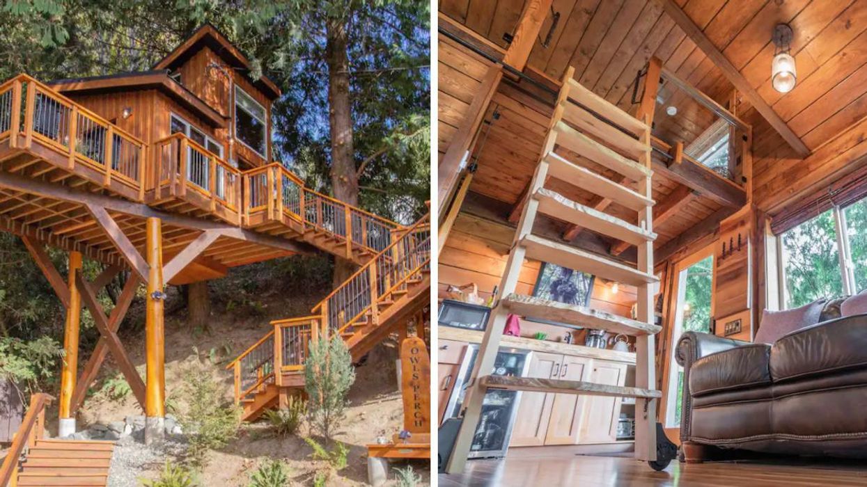 Outside views of the tree house. Right: Inside views of the living room and ladder.