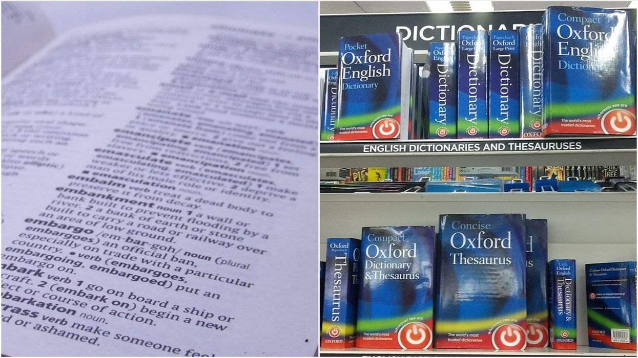 Oxford English Dictionary's 'Words Of The Year' Are Painfully On Brand For 2020
