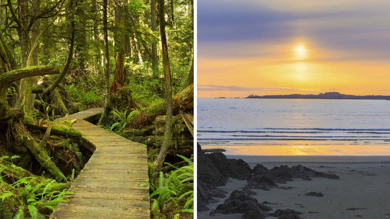 Pacific Rim National Park Reserve in Tofino, B.C. Right: Pacific Rim National Park Reserve in Tofino, B.C.