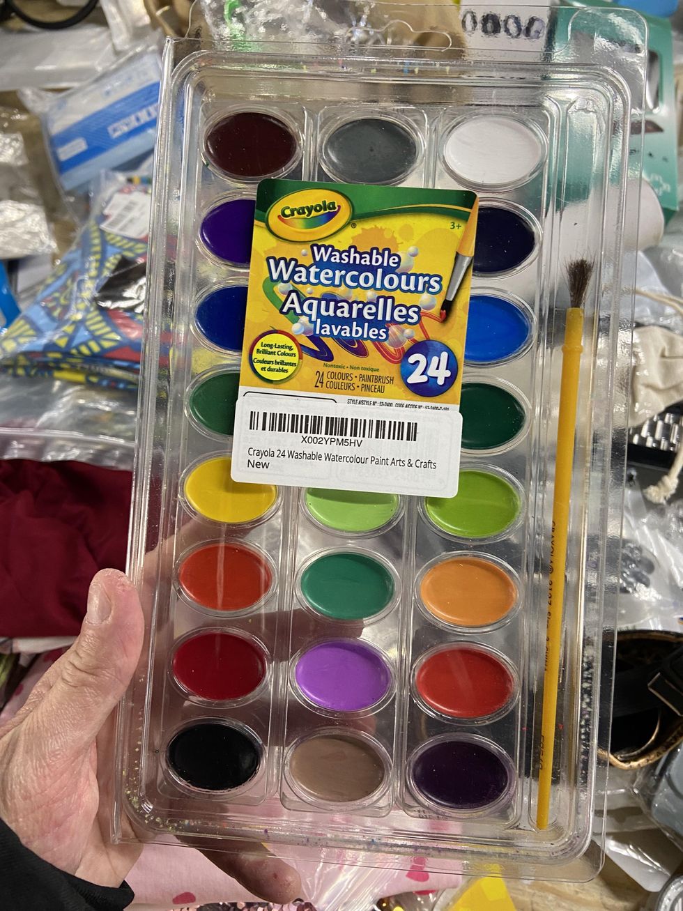 Package of 24 watercolour paints by Crayola.