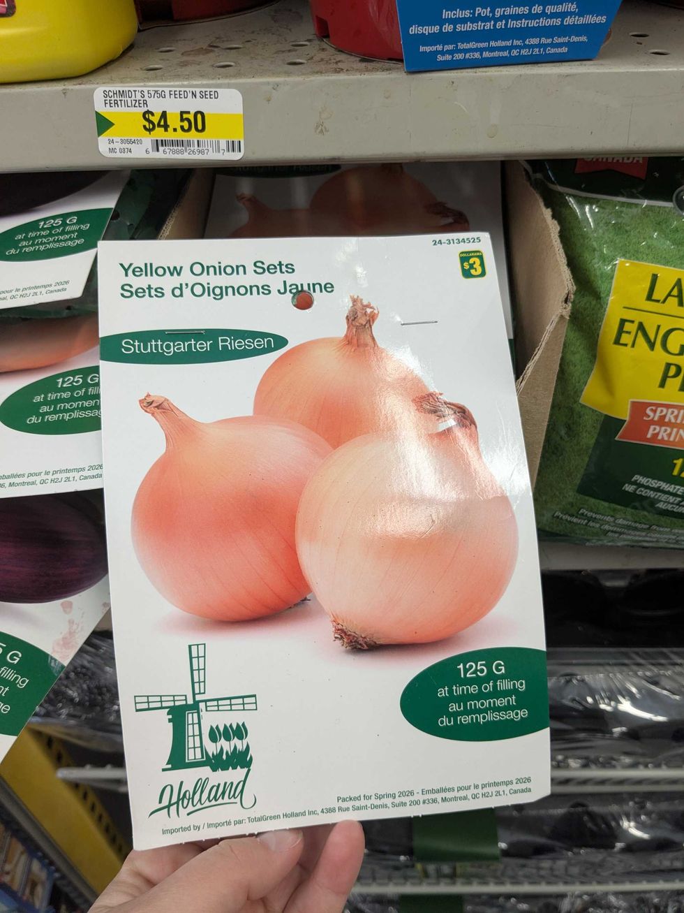 Package of onion bulbs from Dollarama