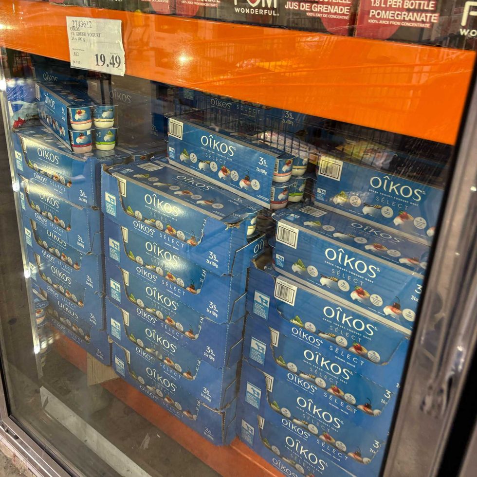 packs of Oikos Greek yogurt at costco