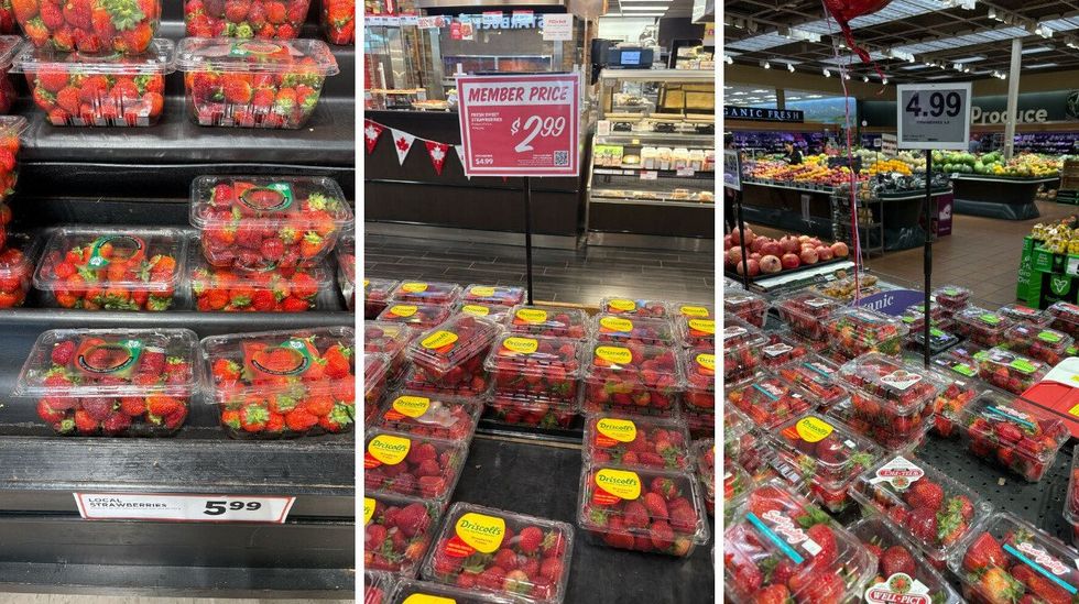 packs of strawberries at metro, longo's and fortinos
