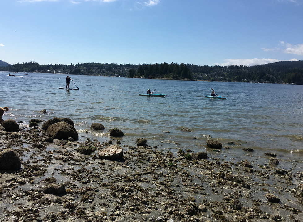 Paddle boarders and people in kayaks go by at a B.C. beach.
