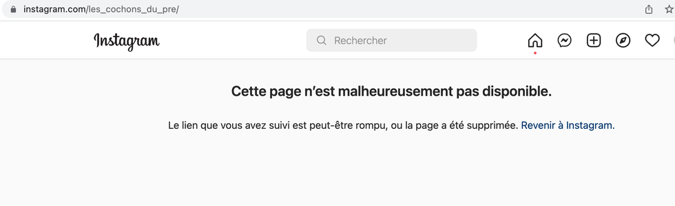 Page Instagram Les cochons du pr\u00e9.