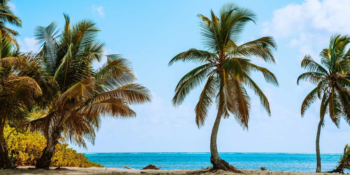 Canada has issued travel warnings for 7 sun destinations, including Jamaica, Cuba & Mexico Canada has issued travel warnings for 7 sun destinations, including Jamaica, Cuba & Mexico