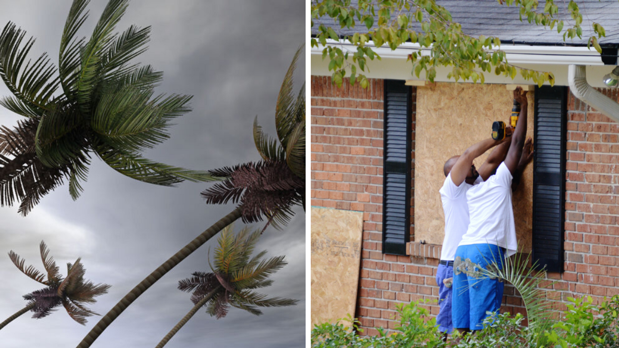 Palm trees blowing in the wind. Right: People putting up wood to protect their windows.