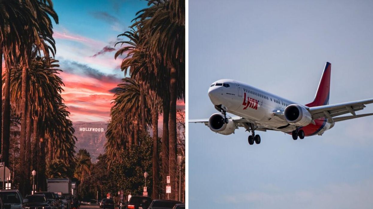 Palm trees in Los Angeles, California. Right: A Lynx Air plane.