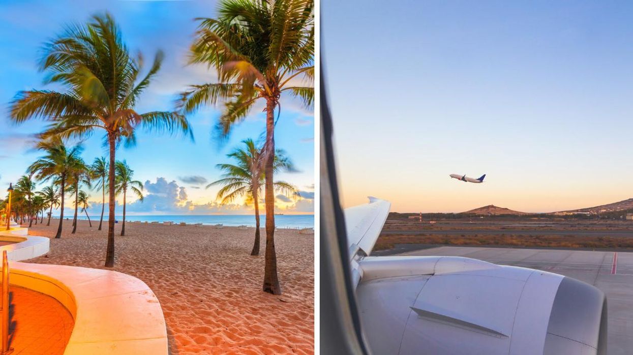 Palm trees on a beach in Fort Lauderdale, Florida. Right: A plane seen taking off from a window.
