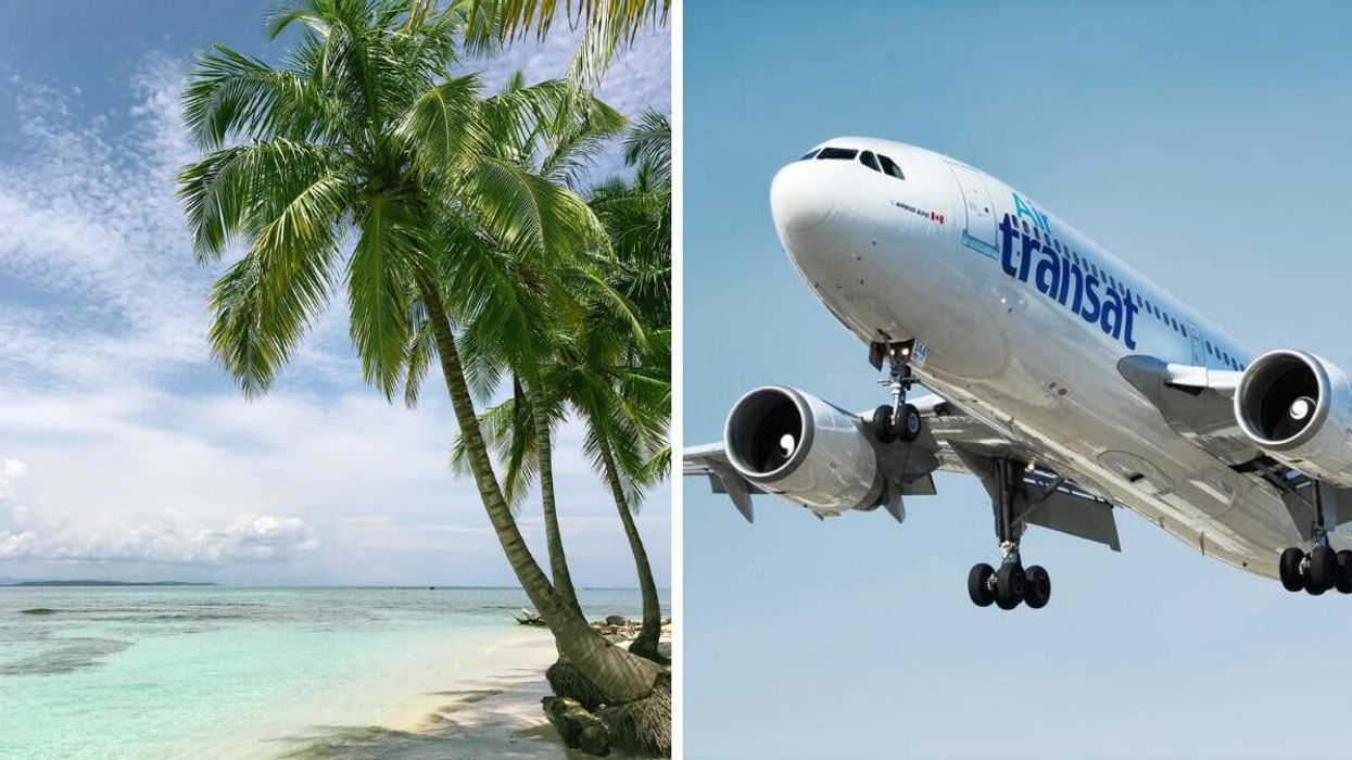 Palmiers devant la plage. Droite : Avion Air Transat.