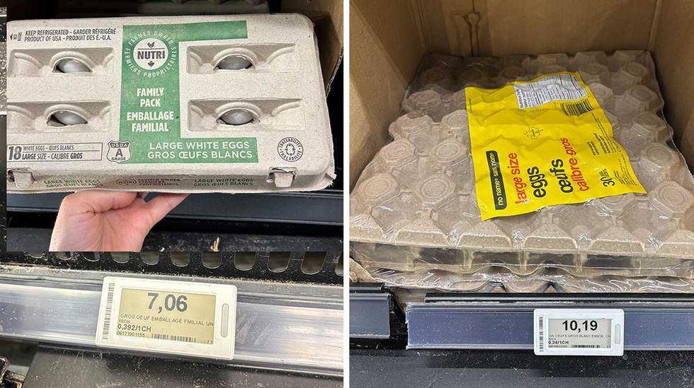 Paquet de 18 oeufs de la marque Nutri-Oeuf. Droite : Paquet de 30 oeufs de la marque sans nom.