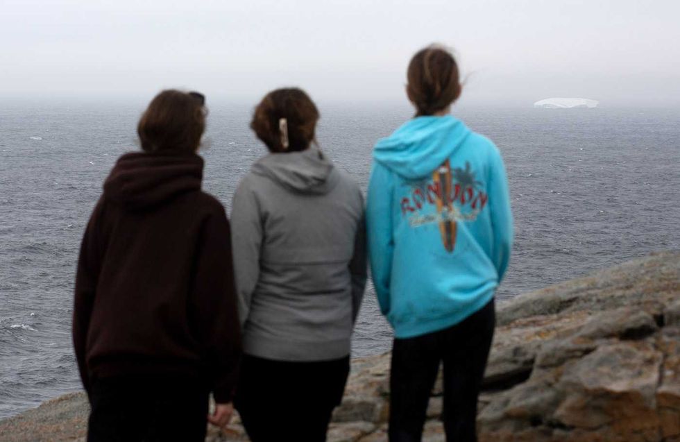Parade of icebergs brings joy and wonder to N.L.