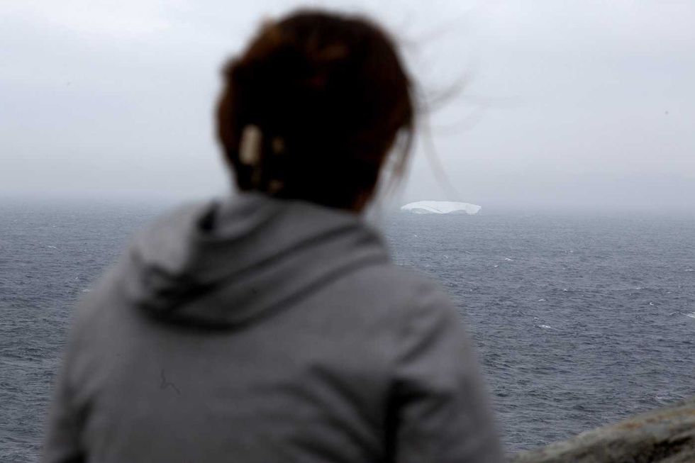 Parade of icebergs brings joy and wonder to N.L.