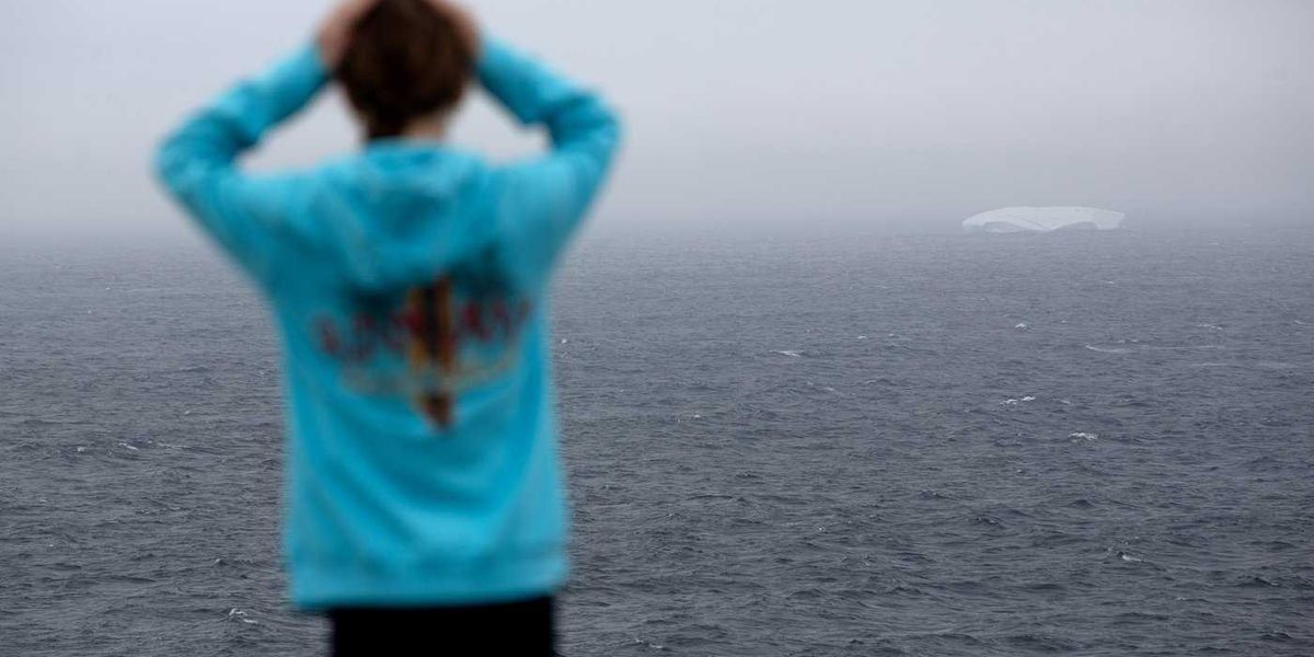 Parade of icebergs brings joy and wonder to N.L. Parade of icebergs brings joy and wonder to N.L.