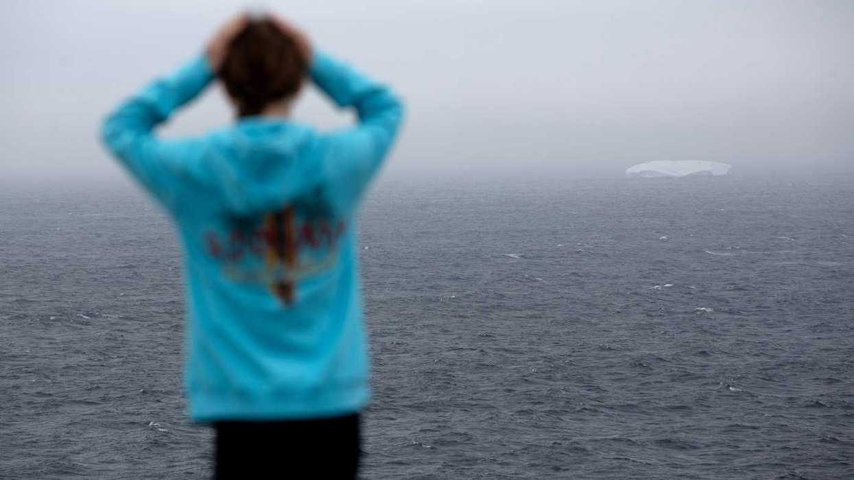 Parade of icebergs brings joy and wonder to N.L.