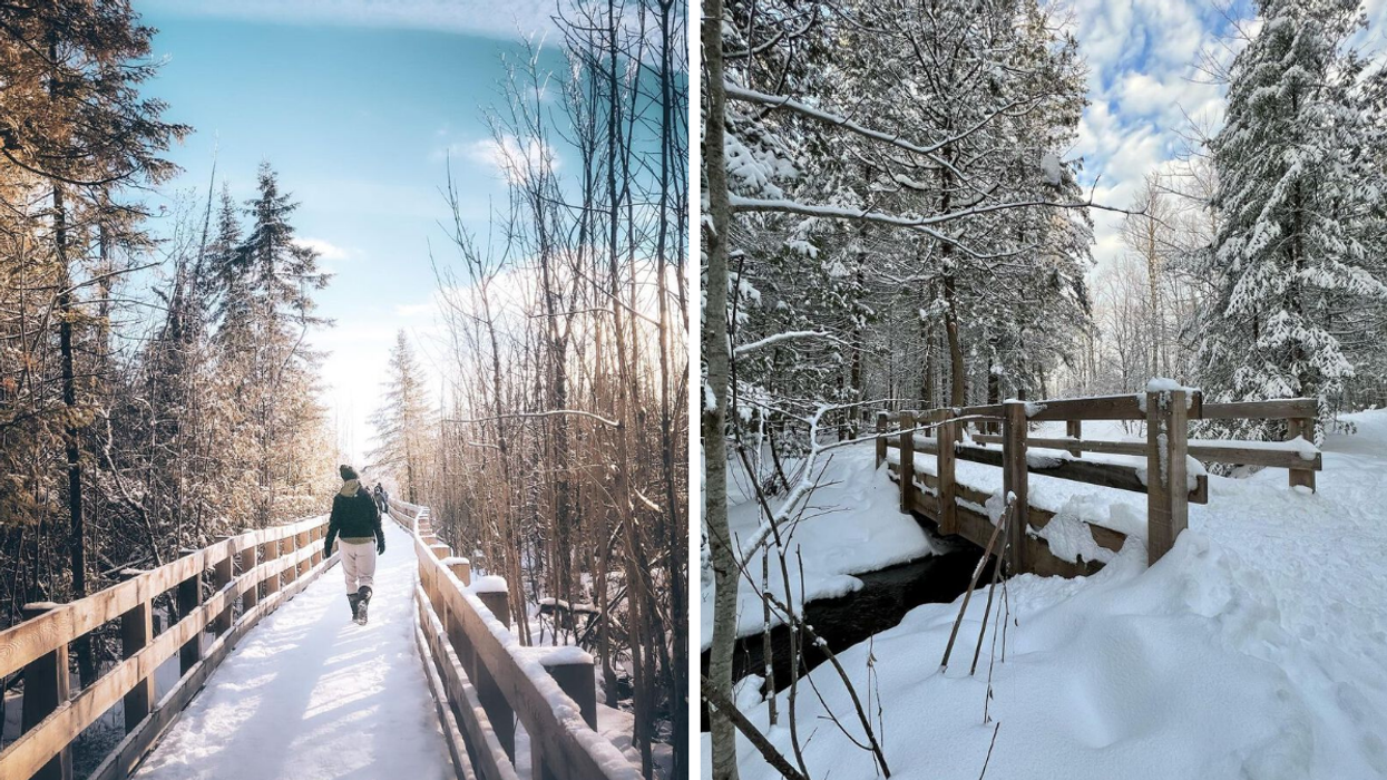 Parc de la Forêt-Boucher à Gatineau.
