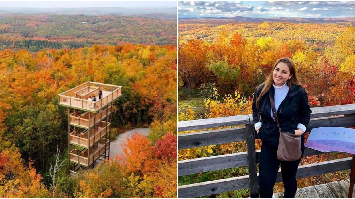 Parc des Montagnes noires de Ripon : Cette tour est le spot pour profiter de l'automne
