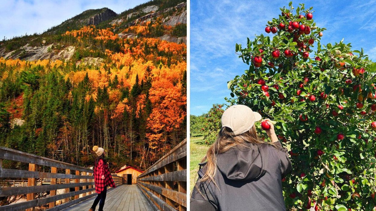Parc national des Hautes-Gorges-de-la-Rivière-Malbaie. Droite : Personne s’adonnant à la cueillette de pommes.
