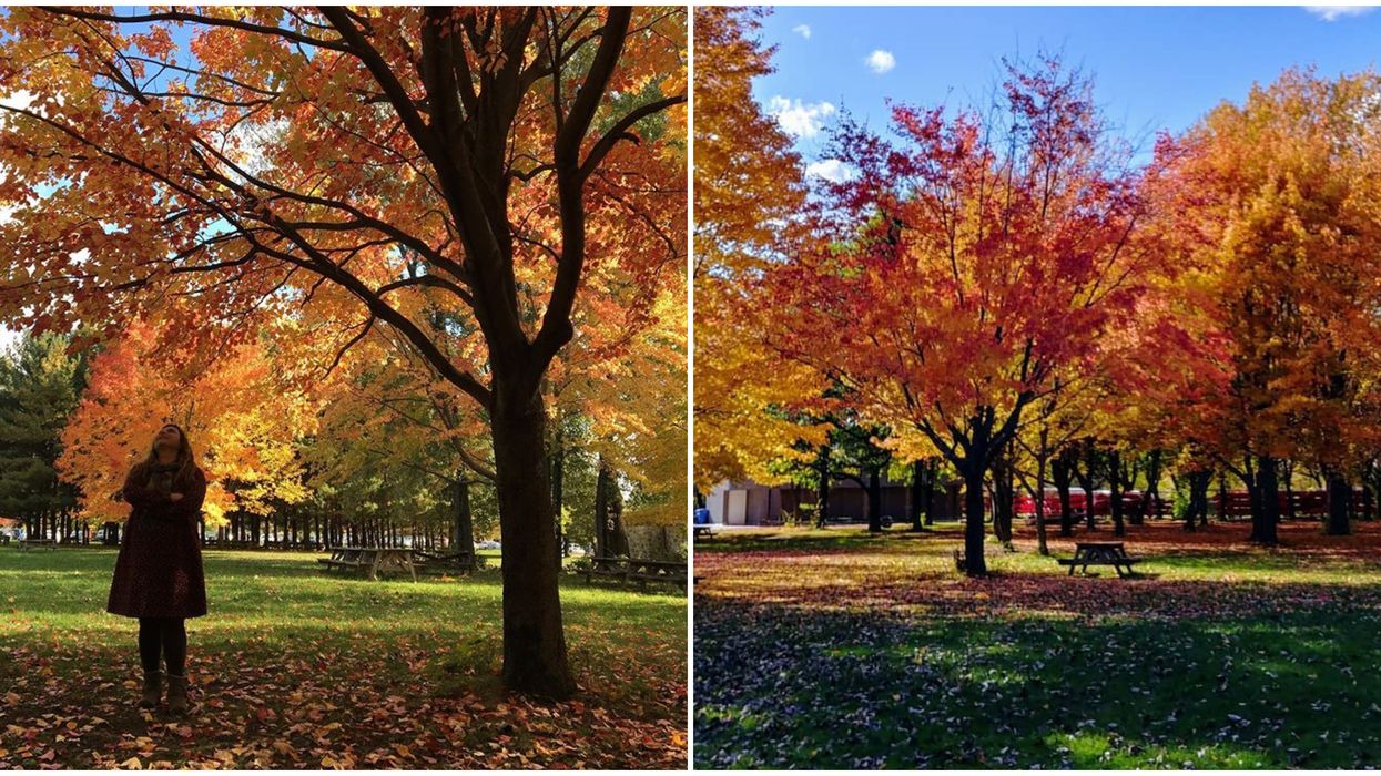 Parc national des îles-de-Boucherville à 30 minutes de Montréal
