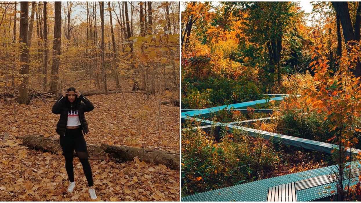 Parc-nature du bois-de-liesse à Montréal