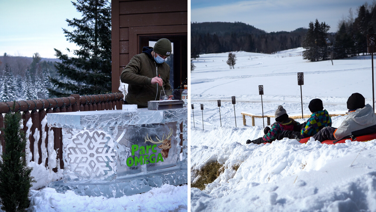 Parc Omega Has New Winter Activities & You Can Sip Cocktails At An Ice Bar After Tubing