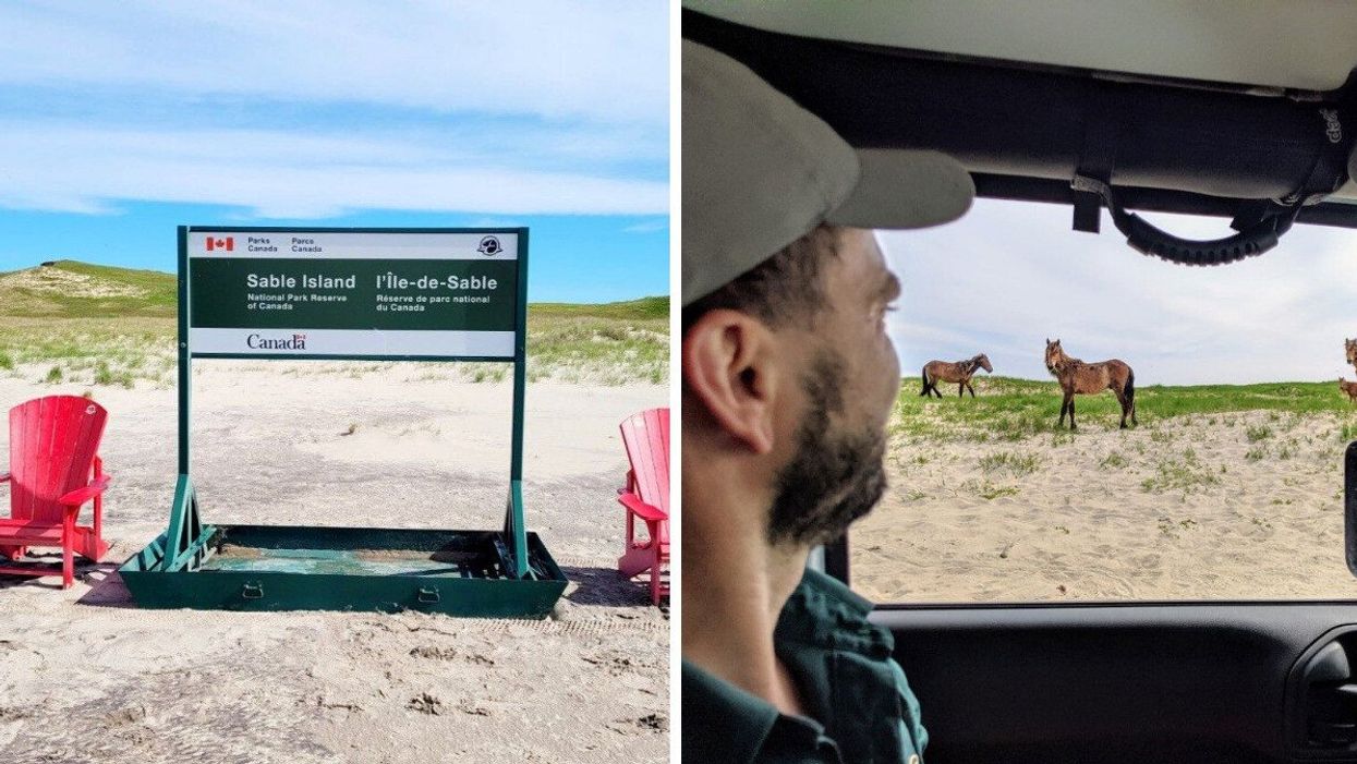 Parks Canada sign for Sable Island National Park Reserve. Right: Parks Canada employee looking at wild horses on Sable Island.