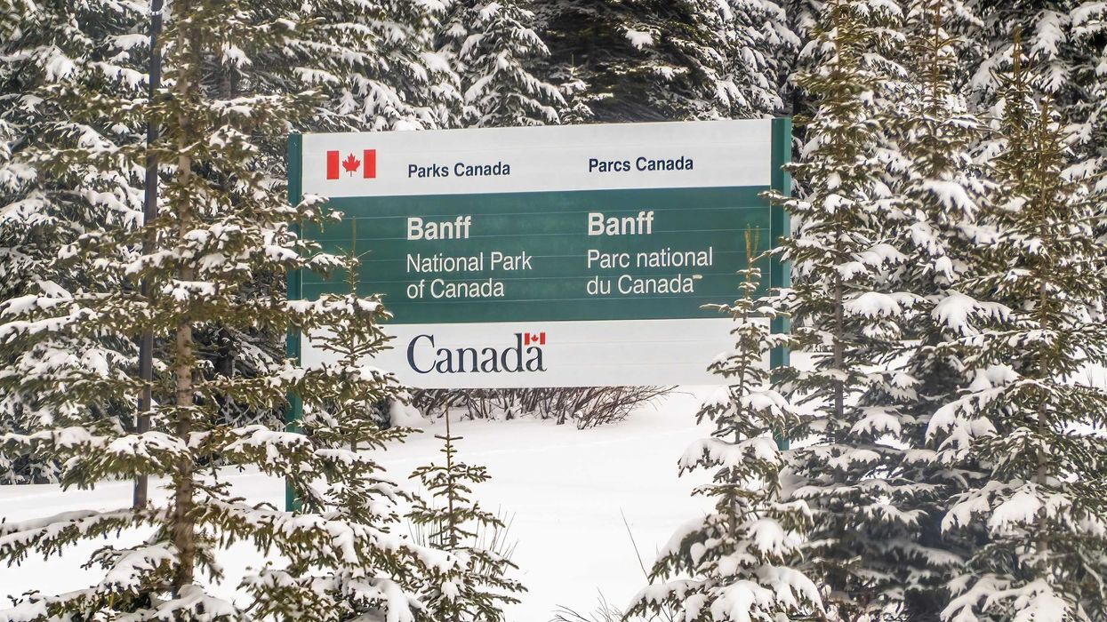 parks canada sign surrounded by snow covered trees at banff national park