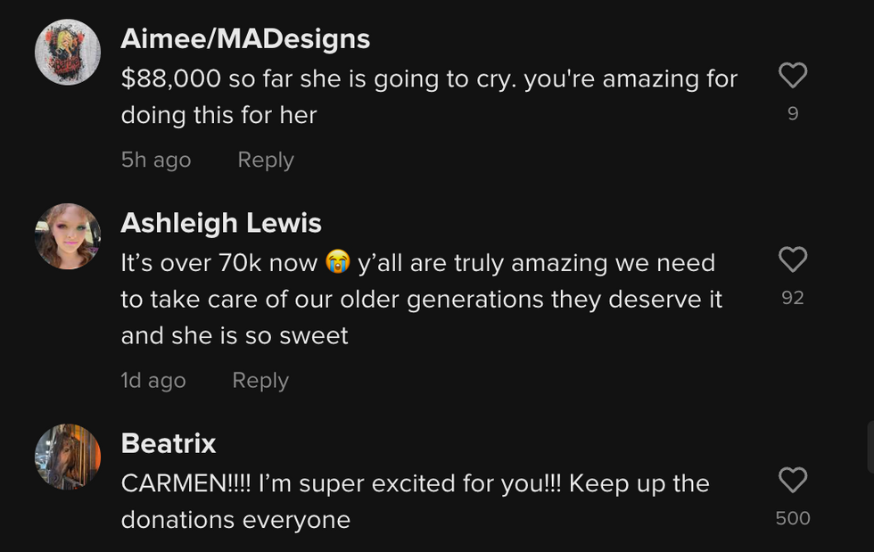 Part of the comment section of Warren's viral TikTok video.