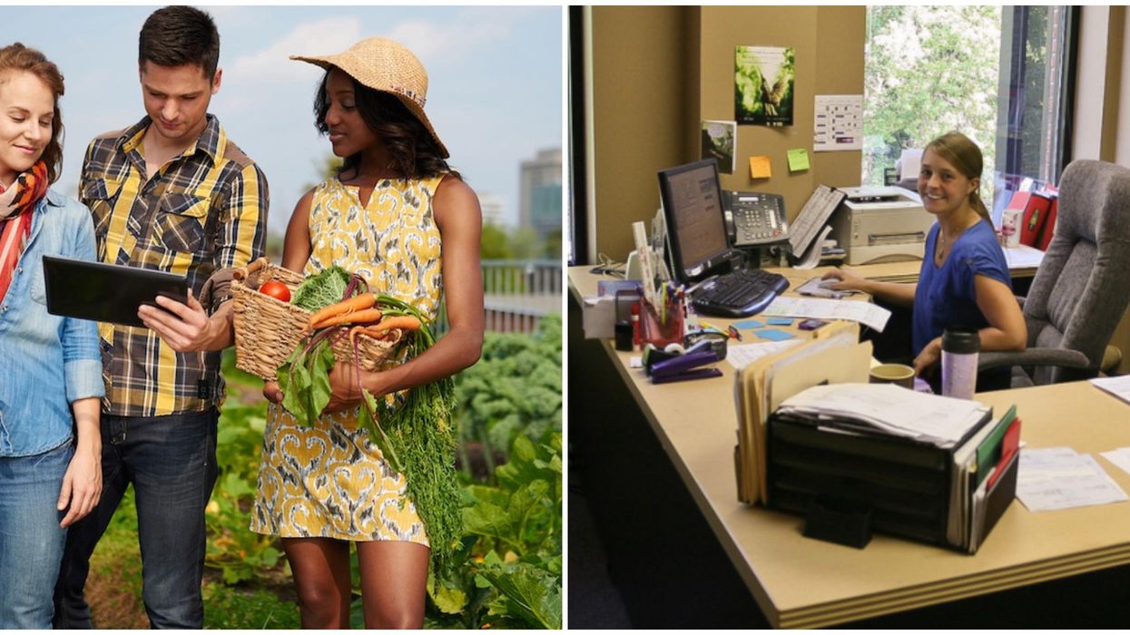 Part-Time Jobs In Ontario That Pay Above Minimum Wage & Require No Experience