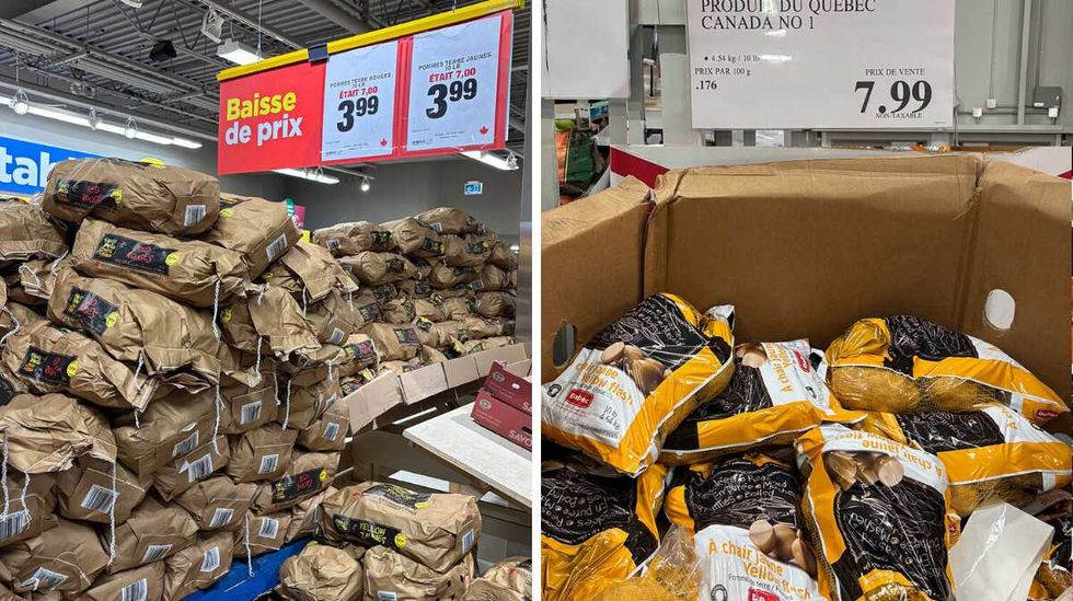Patates jaunes en vente au Maxi. Droite : Patates jaunes en vente au Costco.