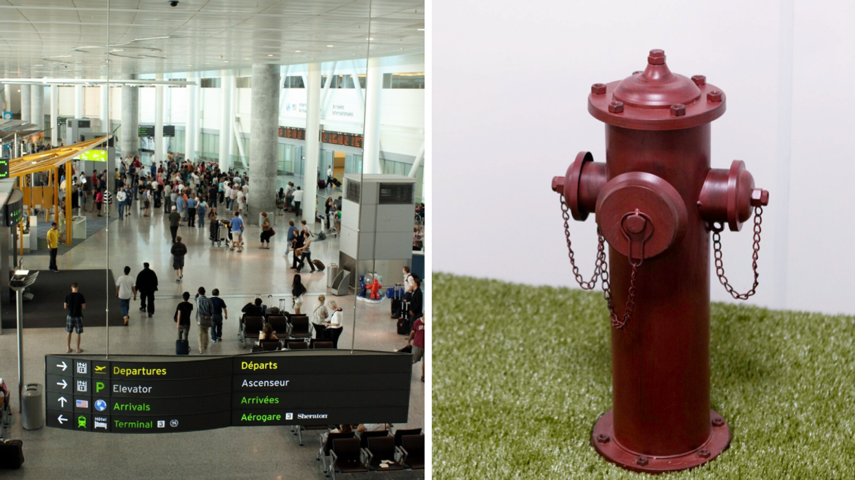 Pearson Airport Just Added A Fake Fire Hydrant For Your Pets To Pee On Before Takeoff