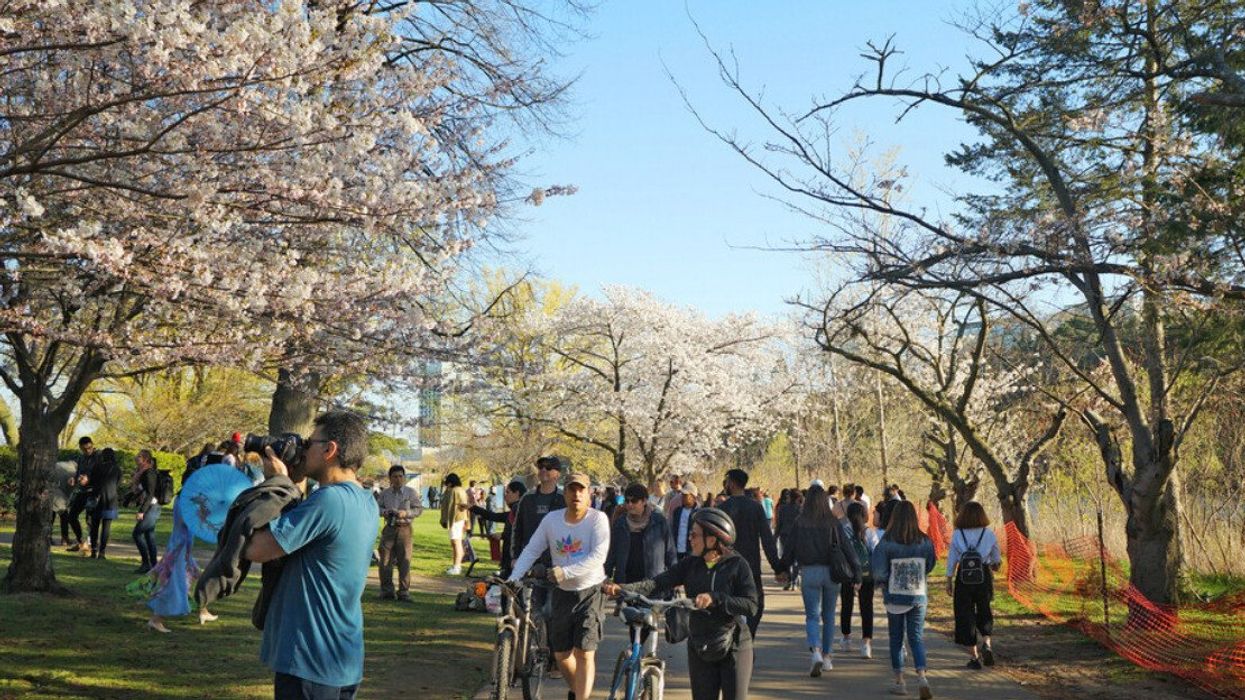 Pedestrians and cyclists in High Park, Toronto.