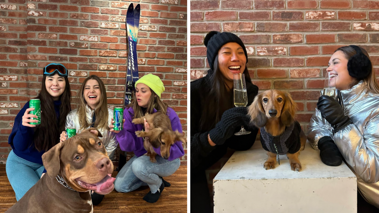 People and dogs dressed up for an Après-Ski party in Toronto.