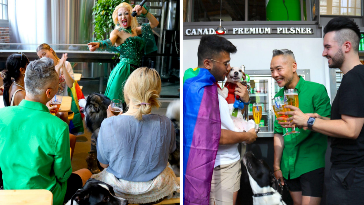 People and dogs enjoying a drag show event.