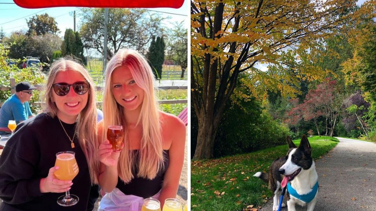 People at a brewery. Right: A dog in a park.