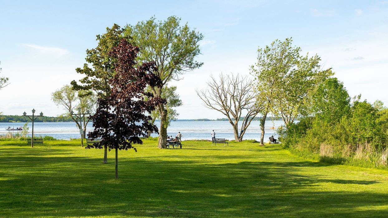 people at a grassy park next to a lake in ontario