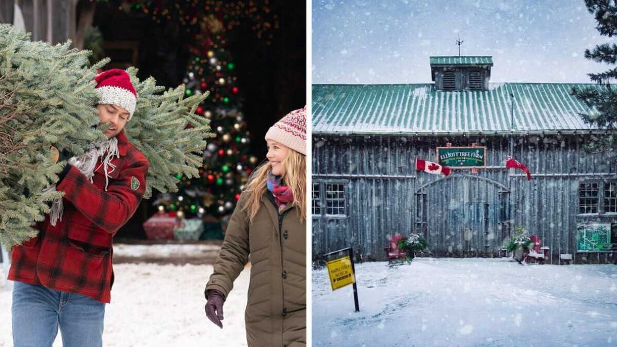 People carrying a Christmas tree. Right: A barn with snow.